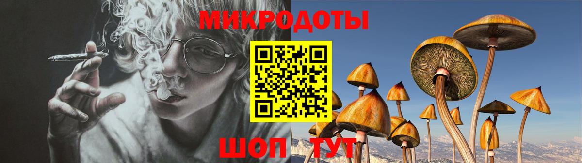 Воркута  Псилоцибиновые грибы Psilocybe  как найти   Вход с VPN 